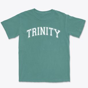 Trinity Christian School Varsity Arch Premium Heavyweight T-shirt