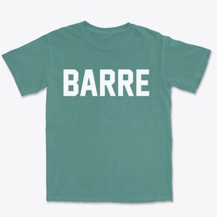 Barre Wisconsin Classic Block Premium Heavyweight T-shirt
