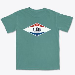 Elgin North Dakota Diamond Star Premium Heavyweight T-shirt