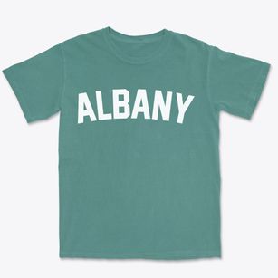 Albany Oregon Classic Curve Premium Heavyweight T-shirt