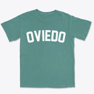 Oviedo Florida Classic Curve Premium Heavyweight T-shirt