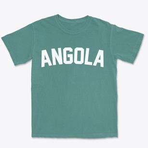 Angola New York Classic Curve Premium Heavyweight T-shirt