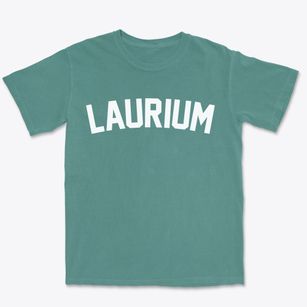 Laurium Michigan Classic Curve Premium Heavyweight T-shirt