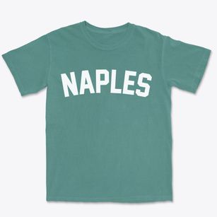 Naples Texas Classic Curve Premium Heavyweight T-shirt