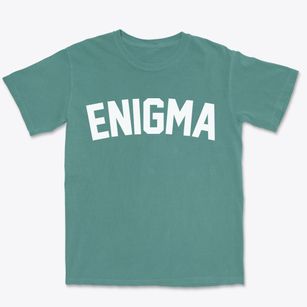 Enigma Georgia Classic Curve Premium Heavyweight T-shirt