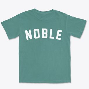 Noble Illinois Classic Curve Premium Heavyweight T-shirt