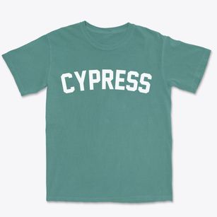 Cypress Illinois Classic Curve Premium Heavyweight T-shirt