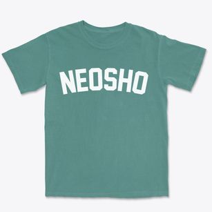 Neosho Missouri Classic Curve Premium Heavyweight T-shirt