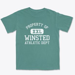 Winsted Minnesota Athletic Dept Premium Heavyweight T-shirt