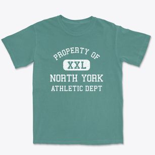 North York Pennsylvania Athletic Dept Premium Heavyweight T-shirt