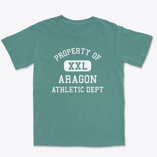 Aragon Georgia Athletic Dept Premium Heavyweight T-shirt