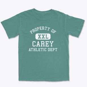 Carey Idaho Athletic Dept Premium Heavyweight T-shirt