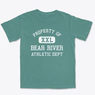 Bear River Wyoming Athletic Dept Premium Heavyweight T-shirt