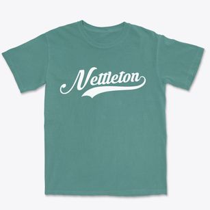 Nettleton Mississippi Vintage Team Premium Heavyweight T-shirt
