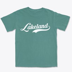 Lakeland Minnesota Vintage Team Premium Heavyweight T-shirt