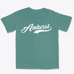 Amherst New York Vintage Team Premium Heavyweight T-shirt