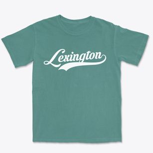 Lexington South Carolina Vintage Team Premium Heavyweight T-shirt