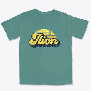 Ilion New York Sublime Sunset Premium Heavyweight T-shirt