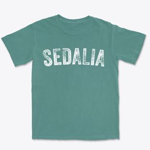 Sedalia North Carolina Timeless Retro Premium Heavyweight T-shirt