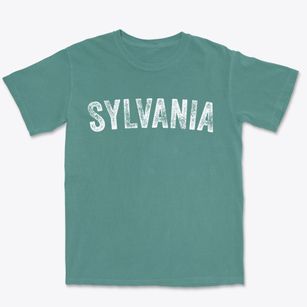 Sylvania Pennsylvania Timeless Retro Premium Heavyweight T-shirt
