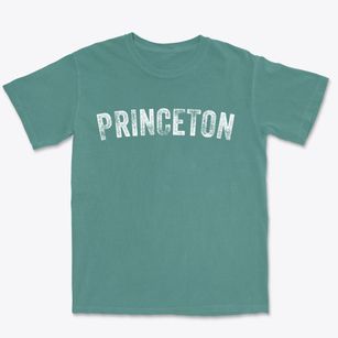 Princeton Indiana Timeless Retro Premium Heavyweight T-shirt