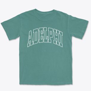Adelphi Ohio Trendy Block Premium Heavyweight T-shirt