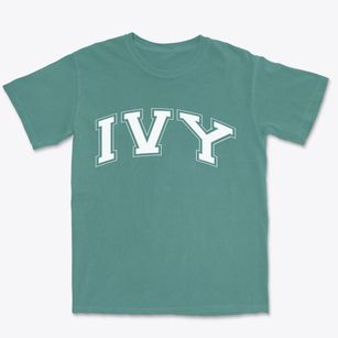Ivy Virginia Varsity Premium Heavyweight T-shirt