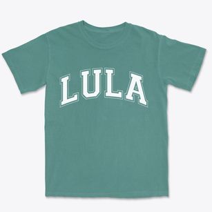 Lula Mississippi Varsity Premium Heavyweight T-shirt