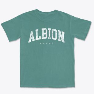 Albion Maine Urban Vibe Premium Heavyweight T-shirt