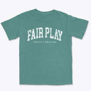 Fair Play South Carolina Urban Vibe Premium Heavyweight T-shirt