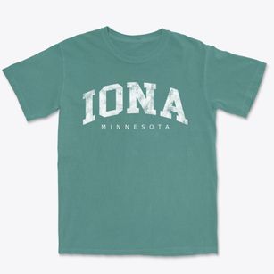 Iona Minnesota Urban Vibe Premium Heavyweight T-shirt