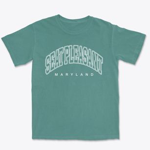 Seat Pleasant Maryland Inline Premium Heavyweight T-shirt