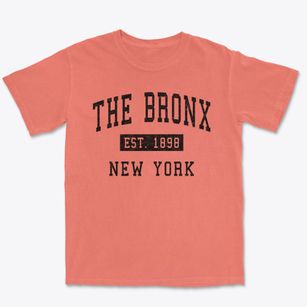 The Bronx New York Classic Established Premium Heavyweight T-shirt