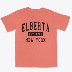 Elberta New York Classic Established Premium Heavyweight T-shirt