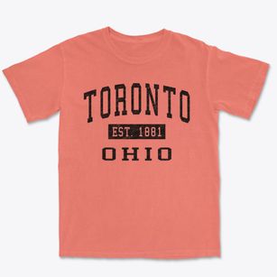 Toronto Ohio Classic Established Premium Heavyweight T-shirt