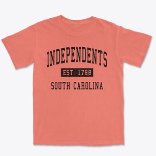 Independents South Carolina Classic Established Premium Heavyweight T-shirt