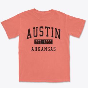 Austin Arkansas Classic Established Premium Heavyweight T-shirt