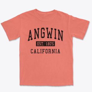 Angwin California Classic Established Premium Heavyweight T-shirt