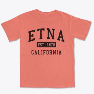 Etna California Classic Established Premium Heavyweight T-shirt
