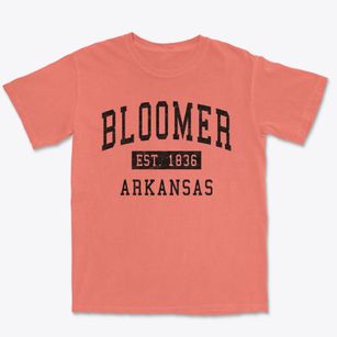 Bloomer Arkansas Classic Established Premium Heavyweight T-shirt