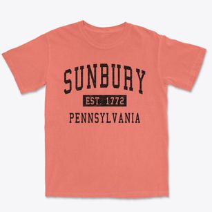 Sunbury Pennsylvania Classic Established Premium Heavyweight T-shirt