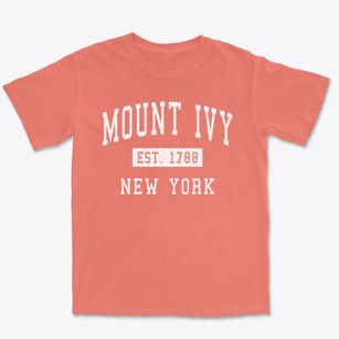 Mount Ivy New York Classic Established Premium Heavyweight T-shirt