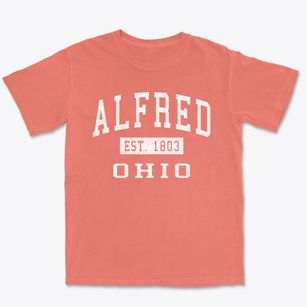 Alfred Ohio Classic Established Premium Heavyweight T-shirt