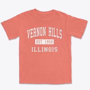 Vernon Hills Illinois Classic Established Premium Heavyweight T-shirt