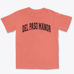 Del Paso Manor Elementary School Varsity Arch Premium Heavyweight T-shirt
