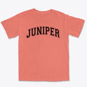 Juniper Intermediate School Varsity Arch Premium Heavyweight T-shirt