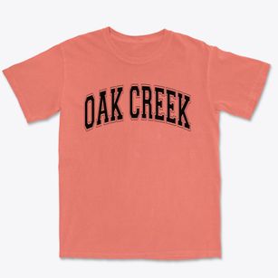 Oak Creek Elementary School Varsity Arch Premium Heavyweight T-shirt