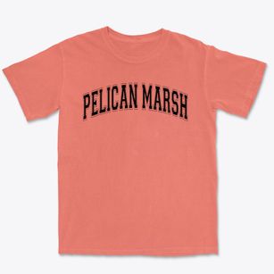 Pelican Marsh Elementary School Varsity Arch Premium Heavyweight T-shirt