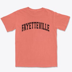 Fayetteville Elementary School Varsity Arch Premium Heavyweight T-shirt