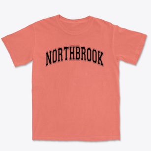 Northbrook School Varsity Arch Premium Heavyweight T-shirt